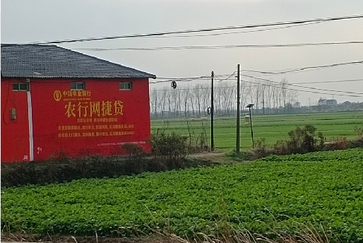 长寿如何防止墙体广告褪色呢？