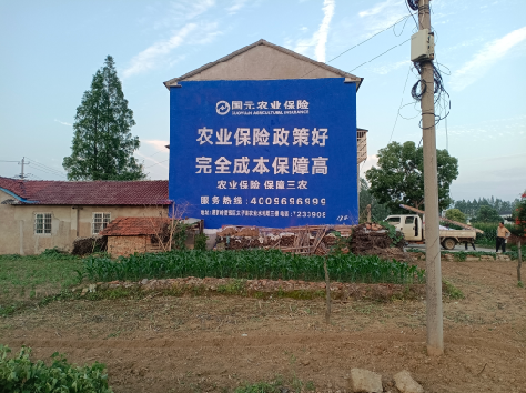 长寿墙体广告为何受追捧？