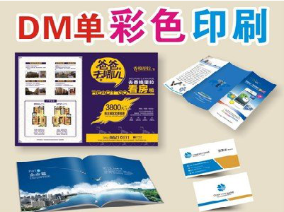 长寿单页印刷,色彩搭配简单。